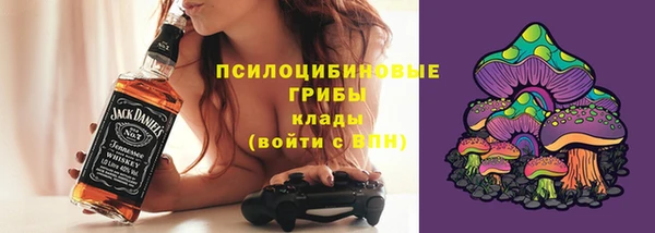 бошки Абаза