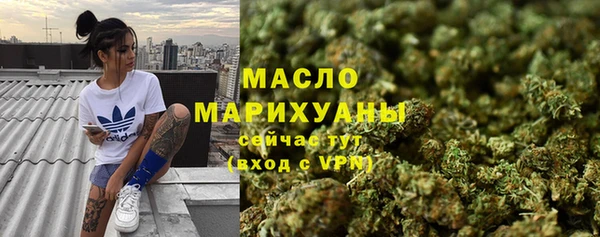 крисы Няндома