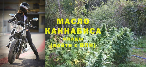 дмт Нягань