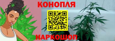 дмт Краснознаменск