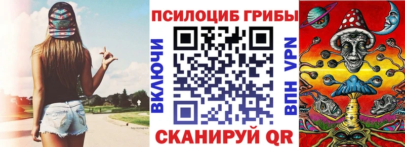 Галлюциногенные грибы Psilocybine cubensis  площадка клад  Саратов 