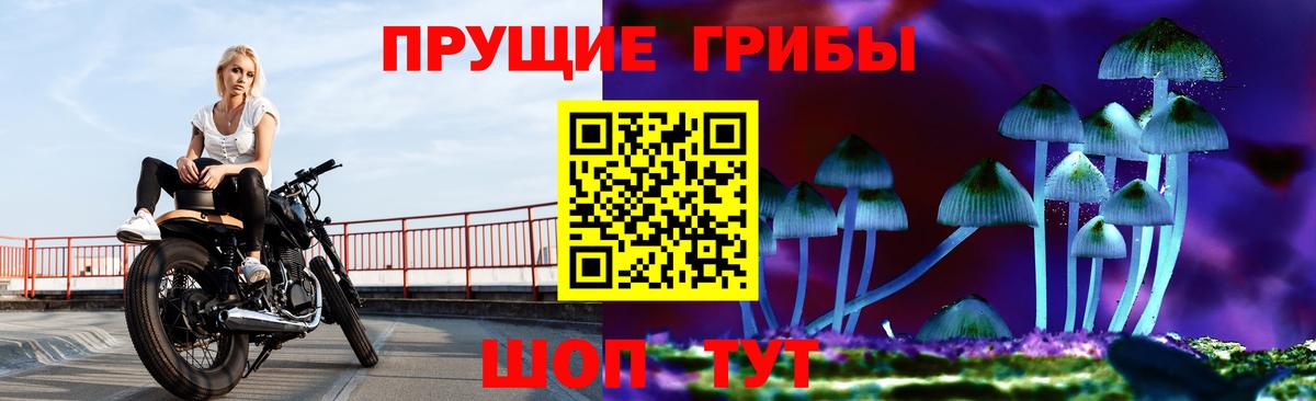 Псилоцибиновые грибы мухоморы Саратов